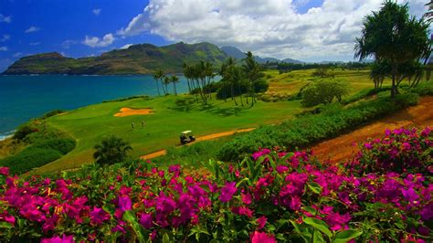 Golf Field wallpaper | nature and landscape | Wallpaper Better