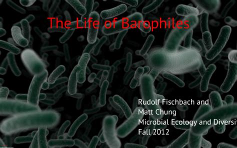 Barophiles by Rudy Fisch on Prezi