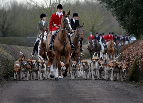 Fox hunting change vote cancelled following SNP U-turn