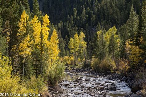 Longs Peak Journal: More fall colors in the Poudre Canyon