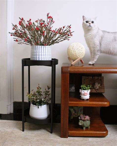 2 Tier Metal Plant Stand 23 Inch Tall Black No Assemble - Etsy