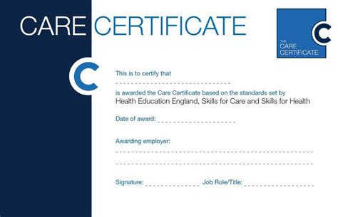 The Care Certificate and workforce optimisation | Social care, Care ...