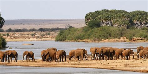 Tsavo East national park Entrance fee 2024 | Tsavo National Park