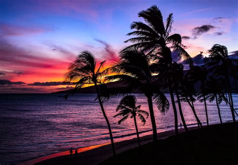 8 Best Beaches in Kihei (and the Surrounding Area!)