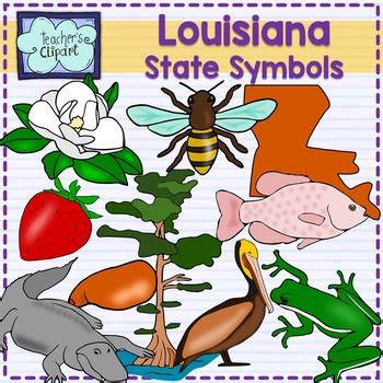 Louisiana state symbols clipart by Teacher's Clipart | TpT