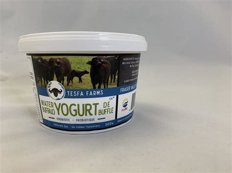 Water Buffalo Yogurt — Goat's Pride Dairy