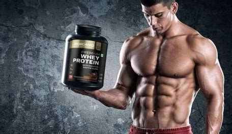 Best Whey Protein Brands In India - Which is Better?