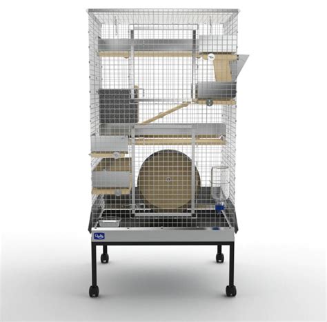 What Size Cage Does A Chinchilla Need