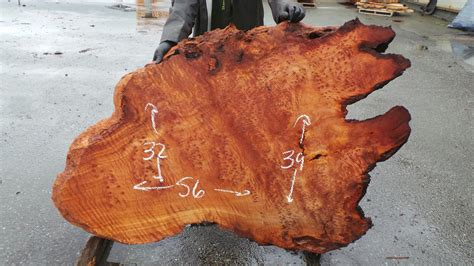 Redwood Burl Slabs | Unique Redwood Pieces | Redwood Burl Inc.