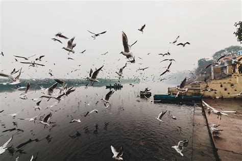 Exploring Old Delhi - Yamuna Ghat on Behance