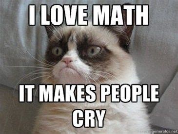 So does coding | Grumpy cat humor, Funny grumpy cat memes, Grumpy cat meme