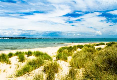 Guide to Studland Beach, Isle of Purbeck, Dorset - Island Cottage Holidays