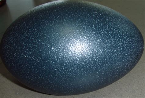 an egg sitting on top of a table