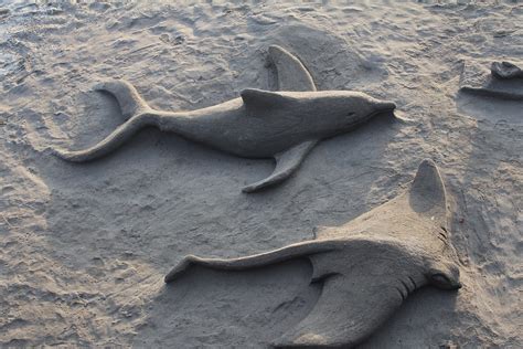 Beach Sand Sculpture Fish - Free photo on Pixabay