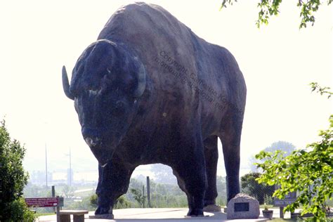 Jamestown, ND: World’s Largest Buffalo Monument - “Dakota Thunder” · Road Trip Attractions