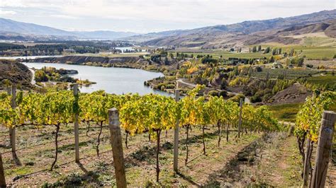 The best wine regions in New Zealand | Kayak New Zealand