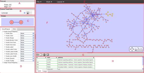 Visualization interface A. The numbers of nodes and edges of the ...