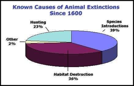 Whizolosophy | Known Causes of Animal Extinctions Since 1600