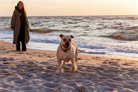 Premium Photo | The girl walks with the dog along the beach