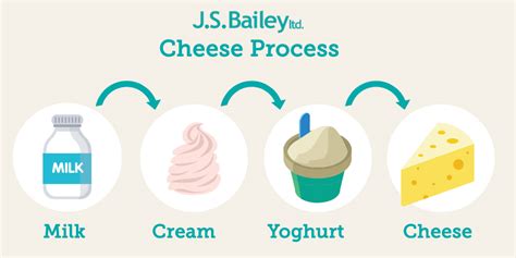 How Does Milk Become Cheese? | Wholesale Cheese Supply | J.S. Bailey