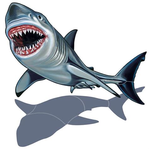 Free Great White Shark Cartoon, Download Free Great White Shark Cartoon png images, Free ...