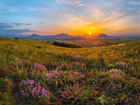 Sunset in the flowering steppe in Stavropol Krai, Russia | Natura, Immagini, Saga