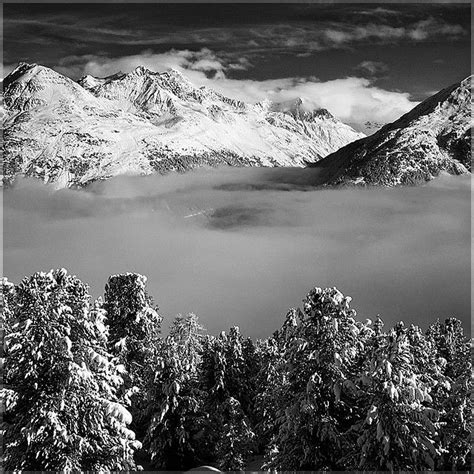 Ode To Ansel Adams | Ansel adams, Black and white landscape, Ansel adams photos