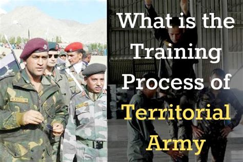 What is the Training Process of Territorial Army