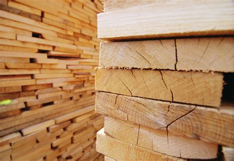 Russian softwood lumber exports increase sharply in value