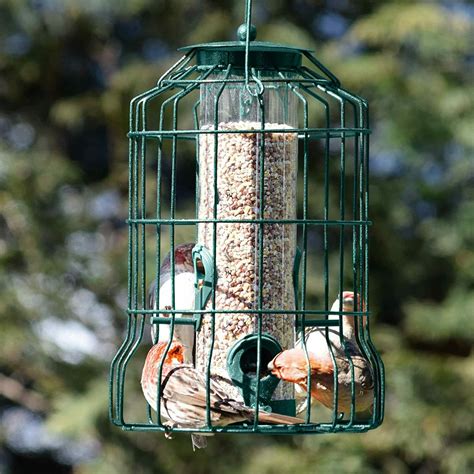 Squirrel Proof Bird Feeder Hanging Cage Seed Food