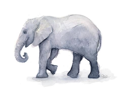 Elephant Watercolor Painting | ubicaciondepersonas.cdmx.gob.mx