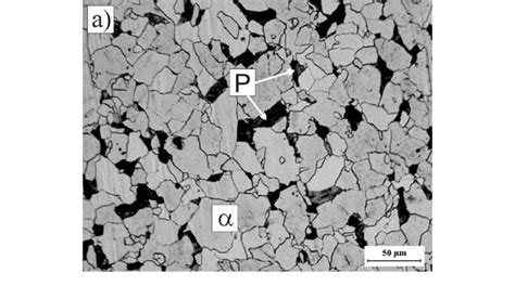 Light optical micrograph of the ferrite-pearlite microstructure of this ...