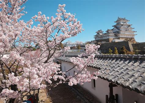 Visit Himeji Castle: 8 Things to Know Before You Go