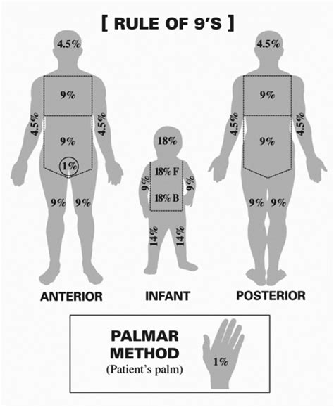 Pin en Nclex study