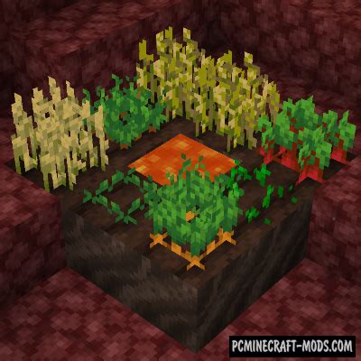 Soul Soil Farmland - Tweak Mod For Minecraft 1.16.5, 1.16.4 | PC Java Mods