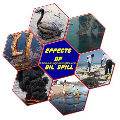 Oil Spill Effects and Cleanup Techniques - Chemical Engineering Site