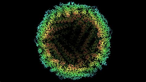 Cryo–electron microscopy breaks the atomic resolution barrier at last | Science | AAAS