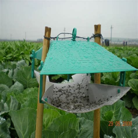 Diamondback Moth Pheromone Control Insect Pheromone Traps - Buy Insect ...