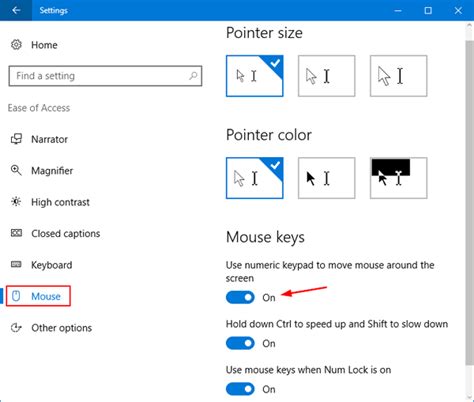 Set Up Mouse Keys In Windows 10 | Password Recovery