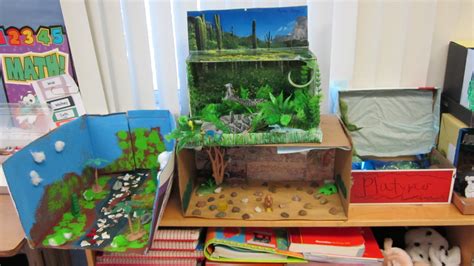 Animal Report & Diorama Projects