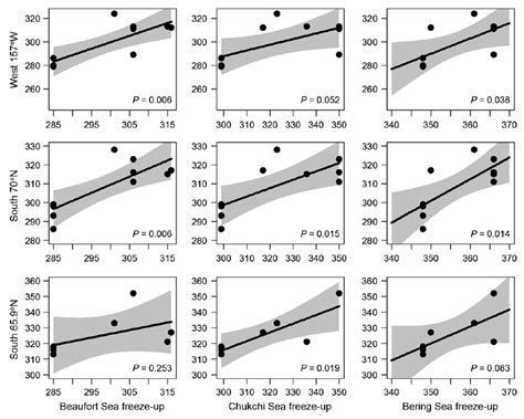 Some beluga whales are leaving the Arctic later because of changes in sea ice