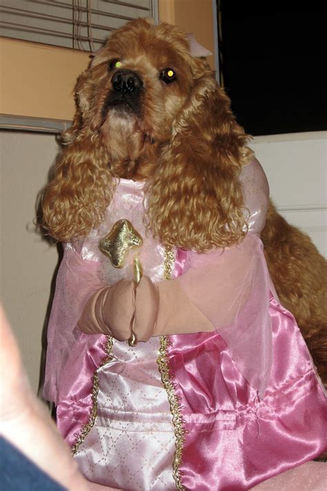 Buffy's Princess Halloween Costume - buffy-princess-costum… | Flickr