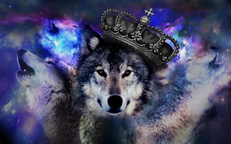 Galaxy Wolf Wallpapers - 4k, HD Galaxy Wolf Backgrounds on WallpaperBat