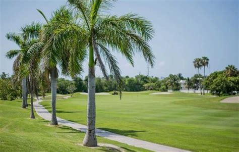 The Top South Florida Golf Courses: Everglade Golf Adventures