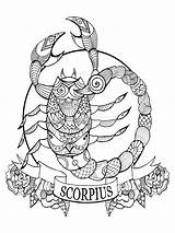 Scorpio Zodiac Sign Coloring Book Vector Stock  Illustration Of sketch template