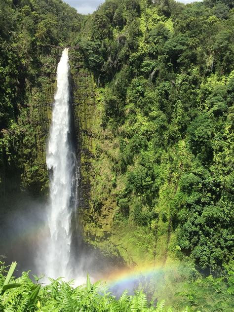 Akaka Falls Hawaii Big Island - Free photo on Pixabay - Pixabay