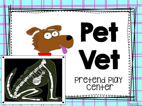 Pet Vet Dramatic Play Center