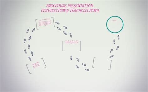 PROCEDURE PRESENTATION: CERVICECTOMY/ TRACHELECTOMY by KIMBERLY MELTON ...