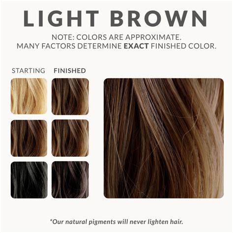 Light Chocolate Hair Color