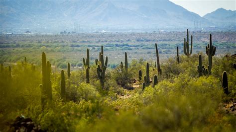 Metro Phoenix weather: 107 degrees possible on Wed., breaking record